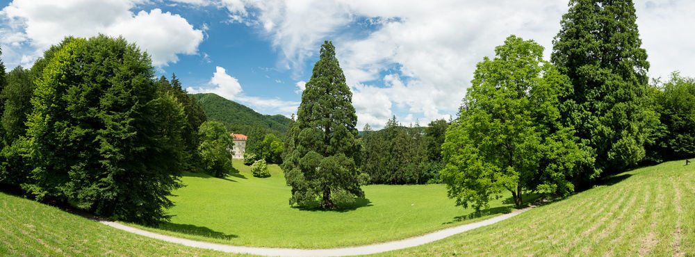 Rimske Terme - Hotel Zdraviliski Dvor Rimske Toplice Εξωτερικό φωτογραφία