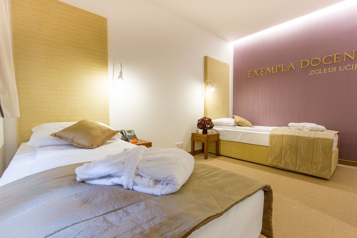 Rimske Terme - Hotel Zdraviliski Dvor Rimske Toplice Εξωτερικό φωτογραφία